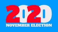 2020 november election logo